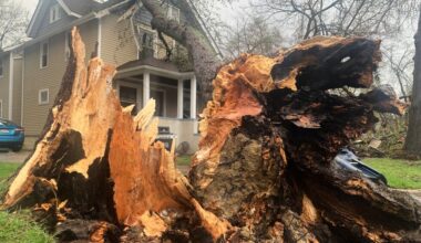 Storms damage ice arenas, uproot trees in Michigan