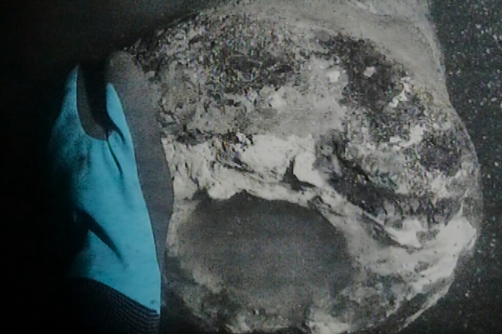 Danish warship sunk by Adm. Horatio Nelson found in Copenhagen Harbor