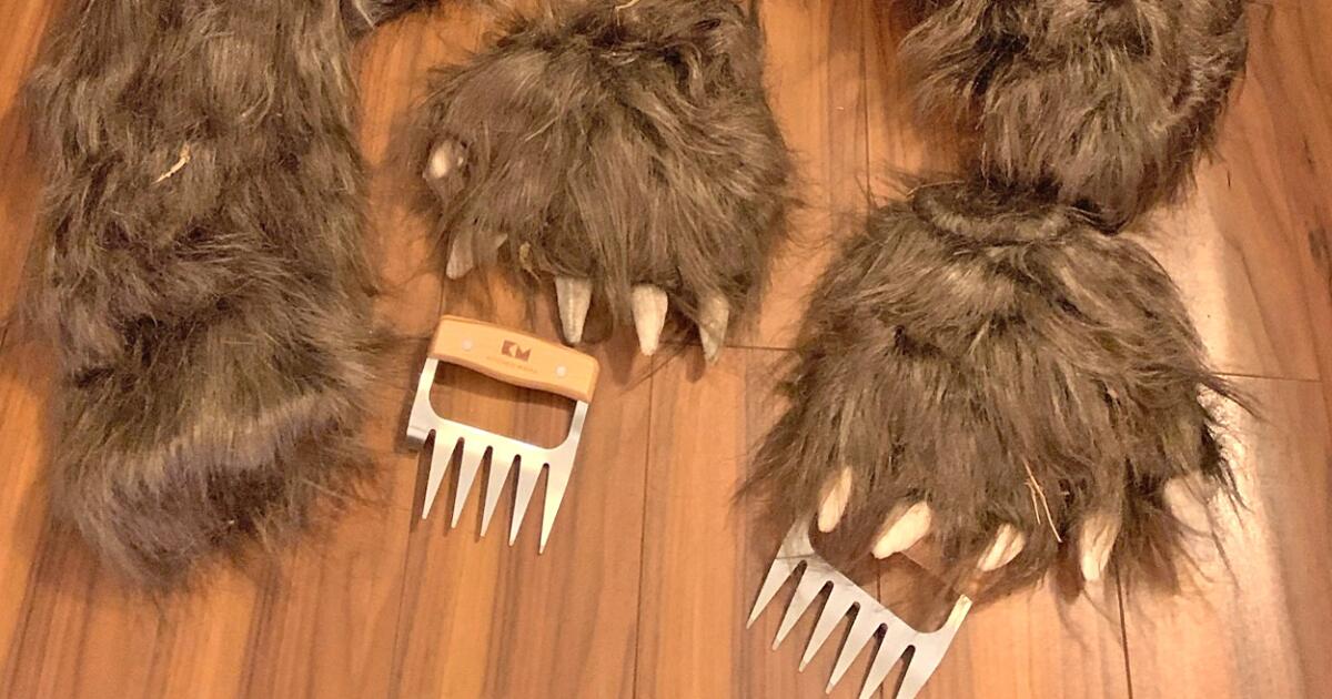 They dressed like a bear and damaged a Rolls-Royce in an audacious insurance scheme