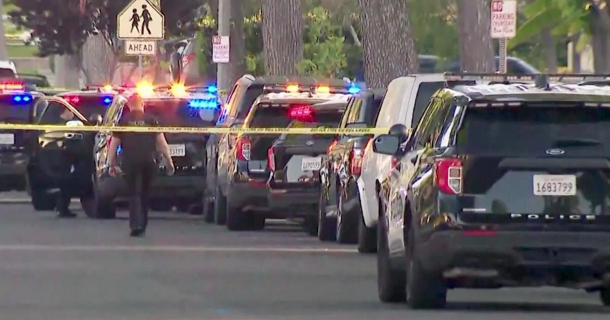 Arrest made in Burbank double-stabbing that left mother dead, daughter in critical condition