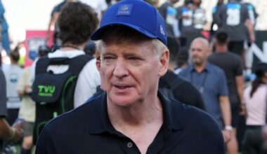 Roger Goodell: The Rooney Rule isn't going anywhere