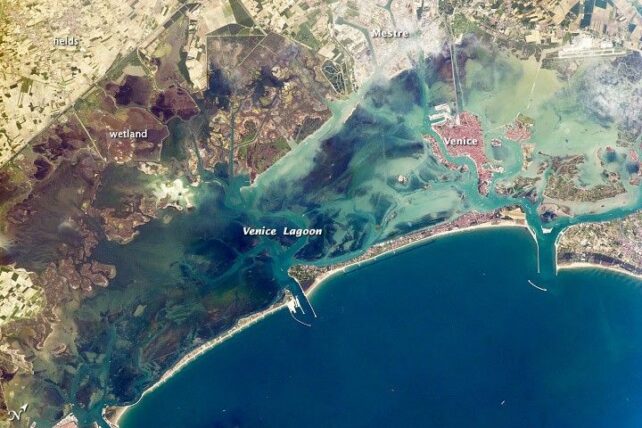 a satellite view of the venice lagoon, showing the barrier island and its inlets