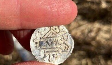 Norway's largest-ever trove of Viking Age coins discovered by metal detectorists: "Historic find"