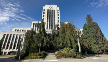 Batter up! Vancouver city councillors approve plan to potentially acquire MLB team