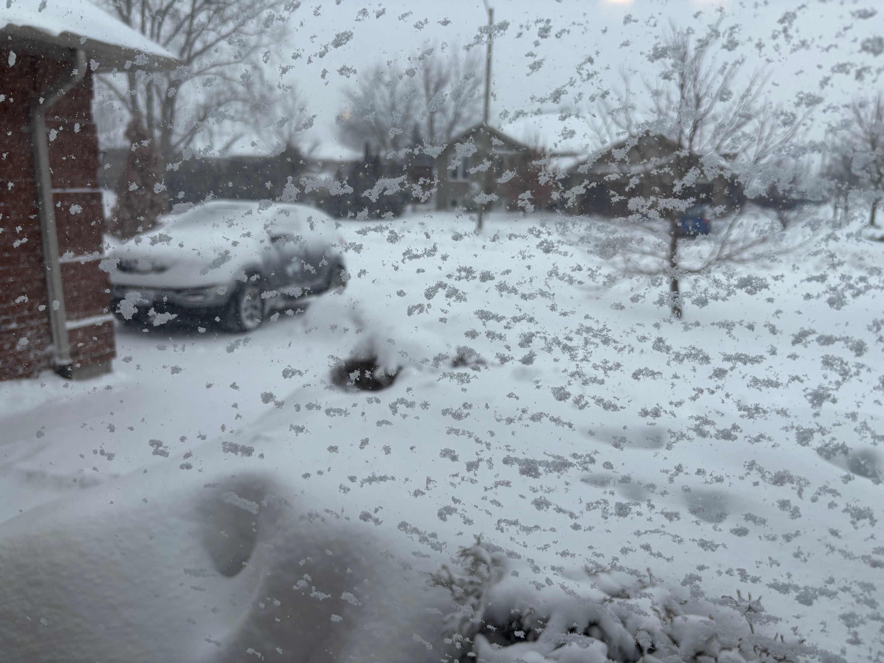 'Brief but intense' snowfall expected to hit Quinte region