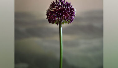 A summer of sex? Yes please!