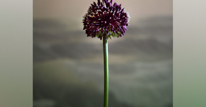 A summer of sex? Yes please!