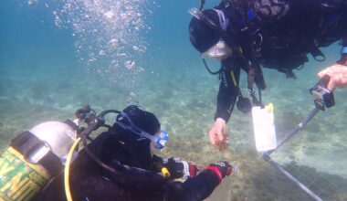 The Mediterranean: Warmer, saltier, more acidic, and rising fast -- report