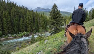 From War Zone to Wilderness: How Some Israeli Soldiers Are Healing After Gaza