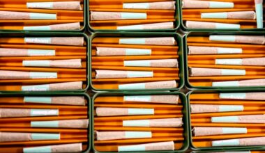 The Cannabis Industry’s New Best Friend? President Trump