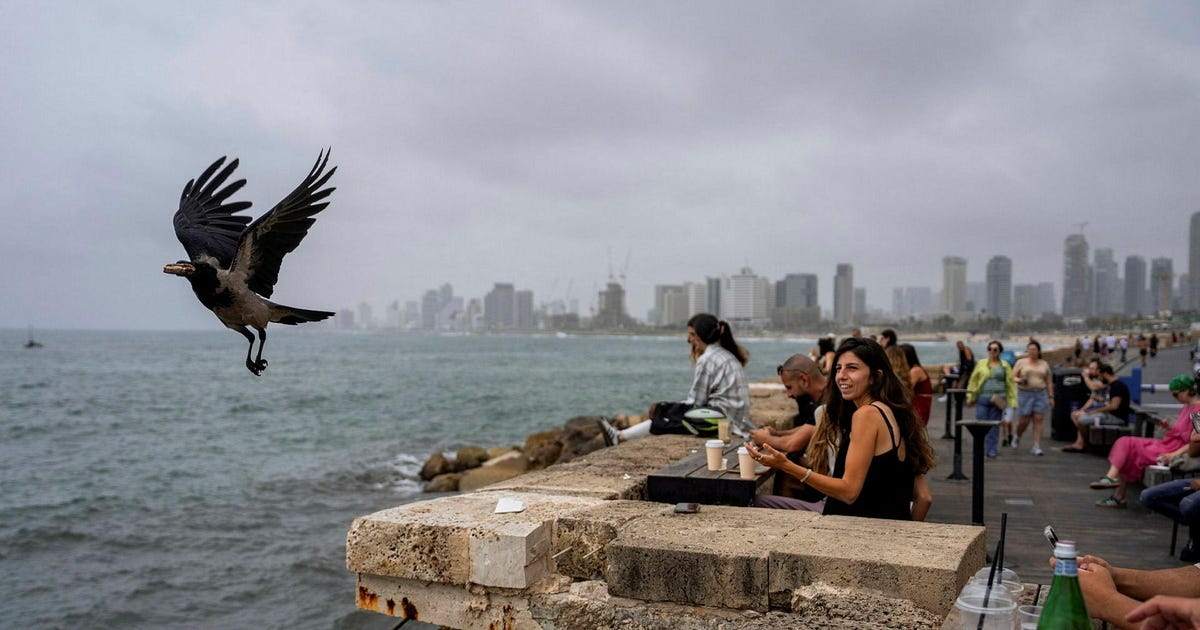 Zionism's Opponents Favor an Egalitarian State, Not Israel's Hate, Exclusion and Violence