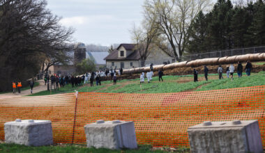 1,500 Beagles From Ridglan Farms in Wisconsin Are Getting New Homes