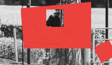 The inside story of ‘Spygate’ – featuring a pine tree, disguises, damning WhatsApps and a sport in shock