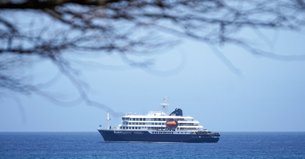 Cruise Ship Struck by Hantavirus Is to Head to Canary Islands, W.H.O. Says