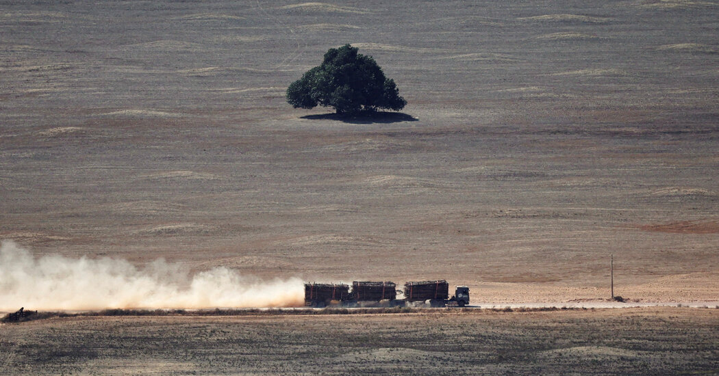 New Study Shows Risks of Amazon Deforestation. And Rewards of Protection.