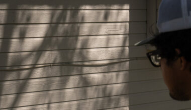 In Idaho’s Suburbs, a Rat Invasion Tests the Limits of Small Government