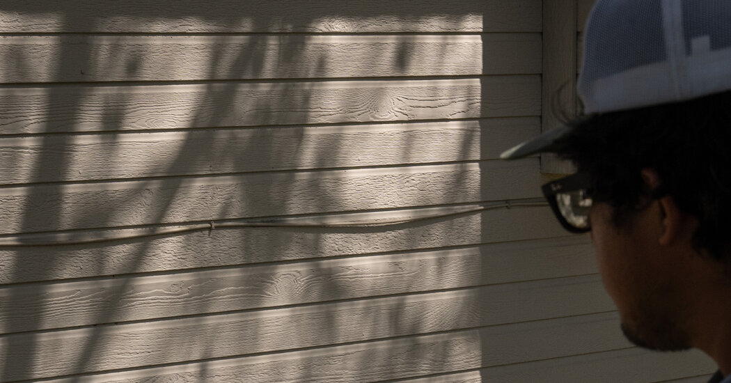 In Idaho’s Suburbs, a Rat Invasion Tests the Limits of Small Government