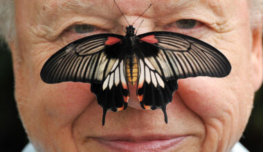 David Attenborough, a Voice of Nature, Turns 100