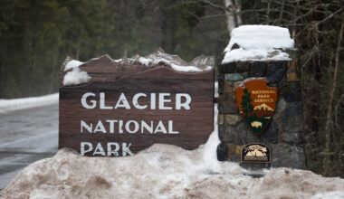 Hiker Killed by Bear at Glacier National Park, Officials Say