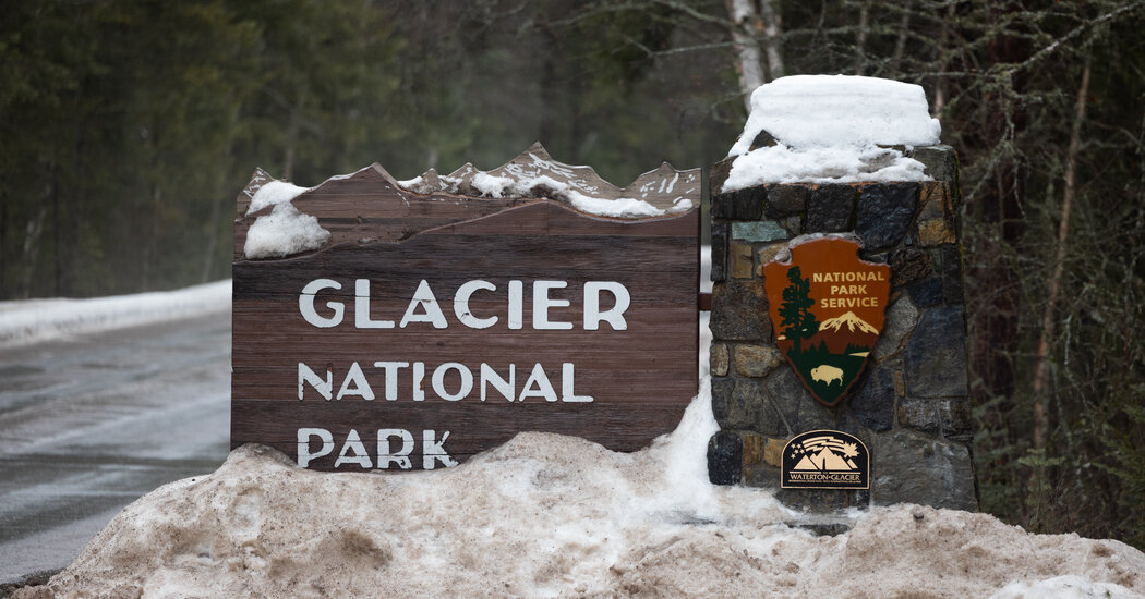 Hiker Killed by Bear at Glacier National Park, Officials Say