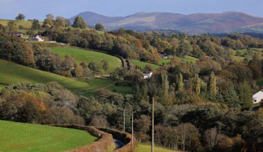 North Wales Live