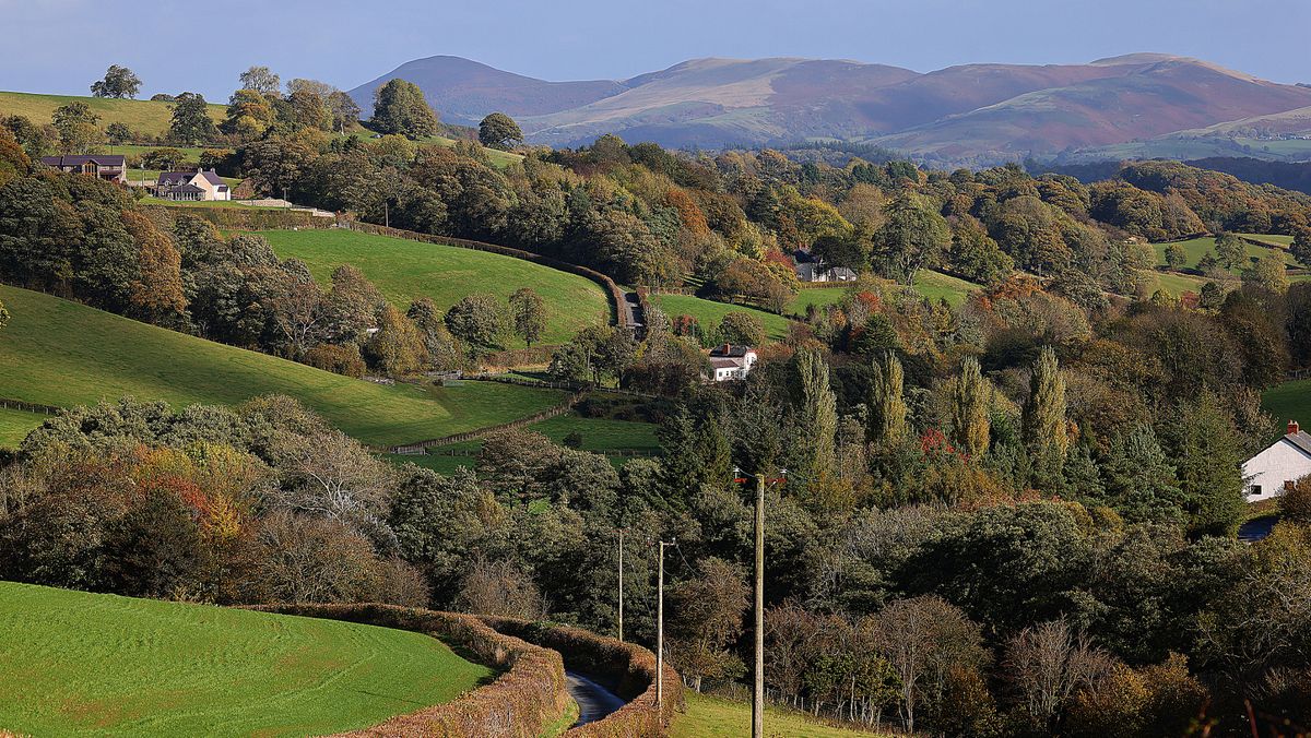 North Wales Live