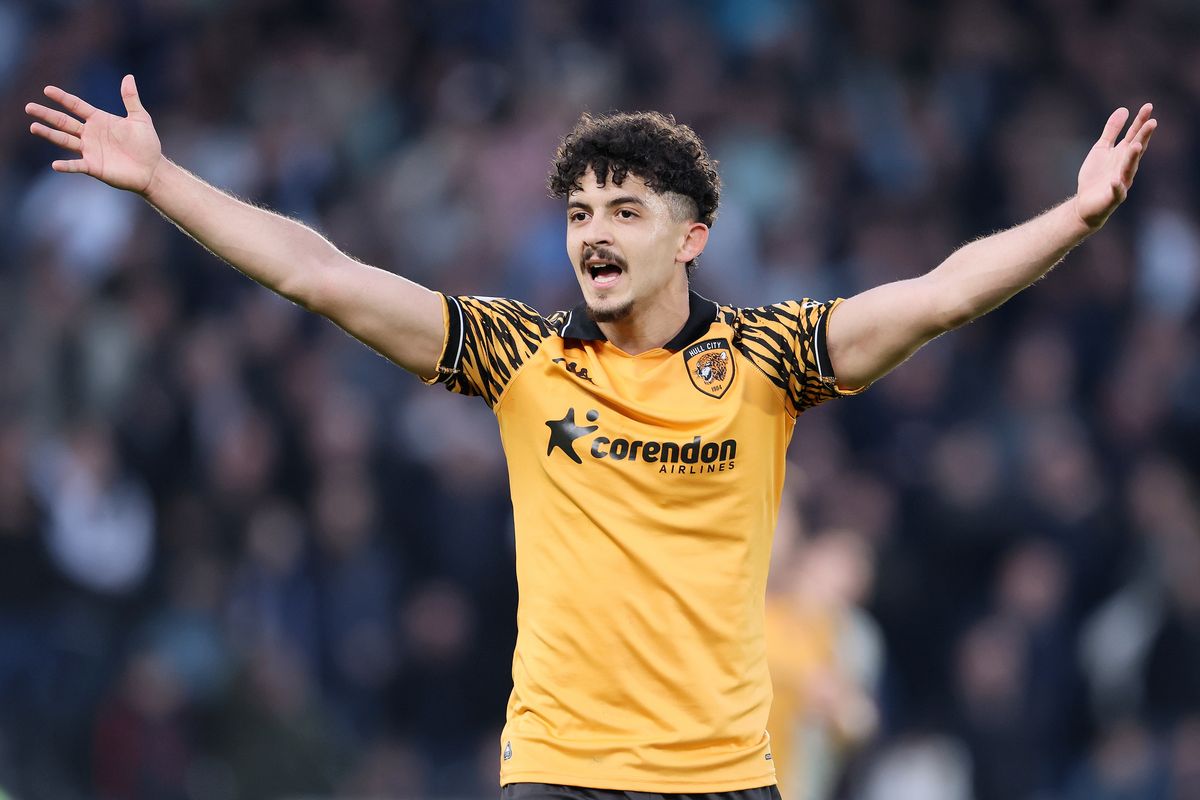Hull City's Mohamed Belloumi reacts during the Sky Bet Championship play-off semi-final