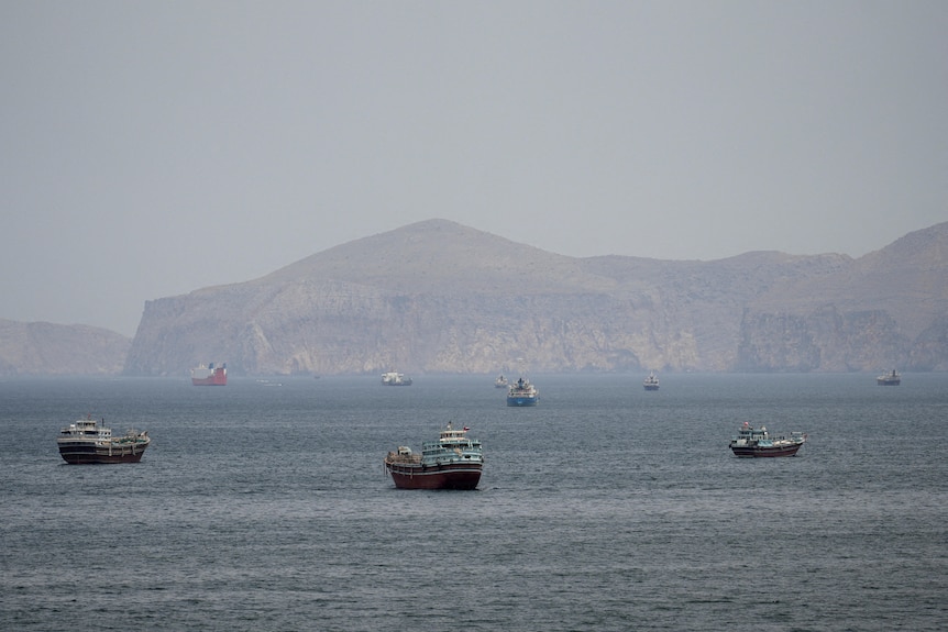 A photo of eight ships sitting in the Strait of Hormuz.