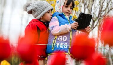 Could Iran be building a Chinese-style internet system?