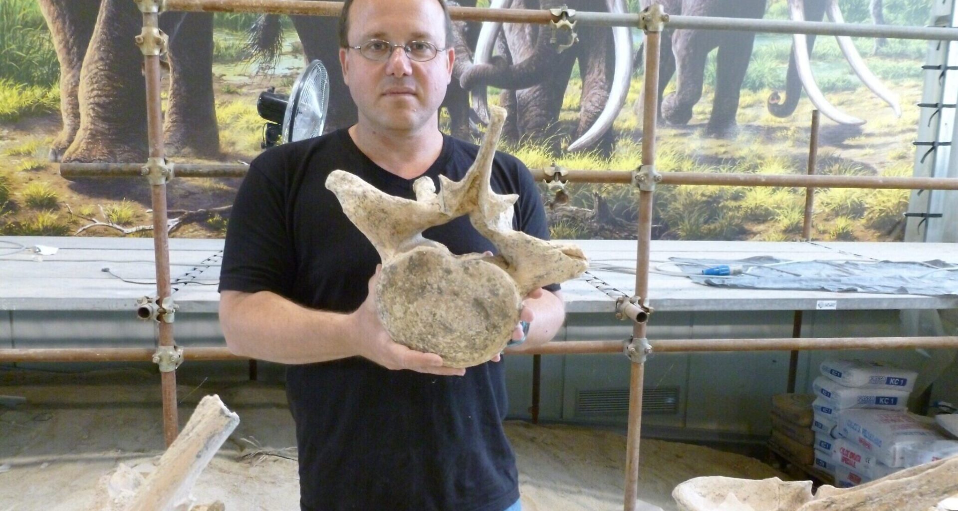 Smaller prey, not bigger brains, drove prehistoric tech revolution, Israeli researchers say