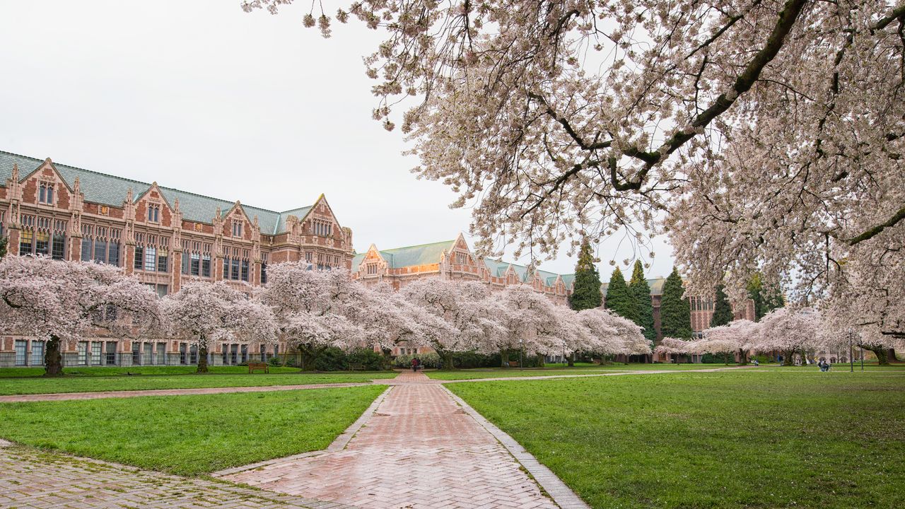 19-Year-Old Transgender University of Washington Student Fatally Stabbed
