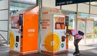 French teen charged in Singapore over vending machine straw-licking viral video