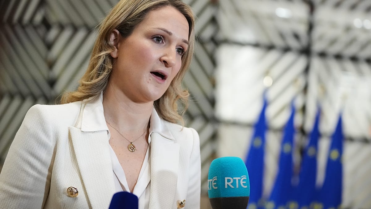 'Associate membership' risks leaving Ukraine in limbo, Ireland warns after Merz pitches bold plan