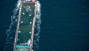 Timmy the humpback whale is presumed to have died after being released into a shipping lane