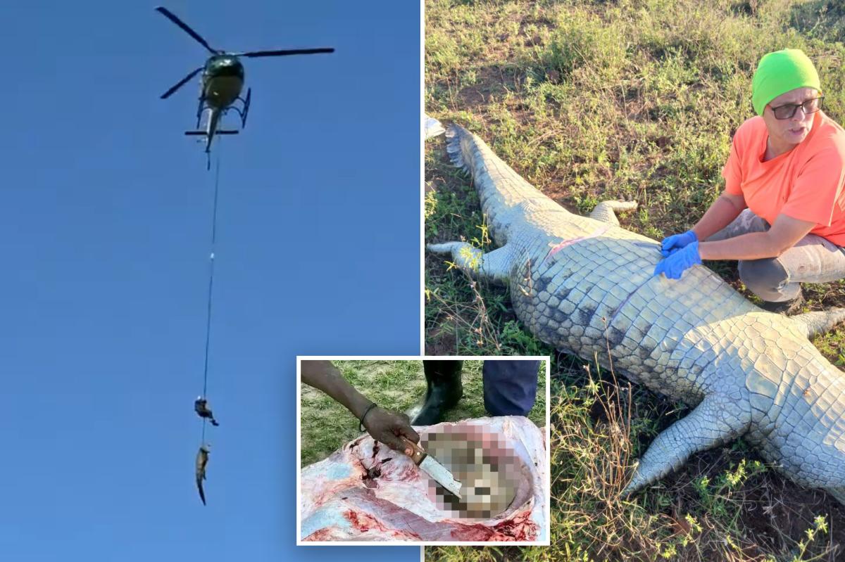 Croc victim's remains recovered after 15-foot animal is caught and airlifted from river