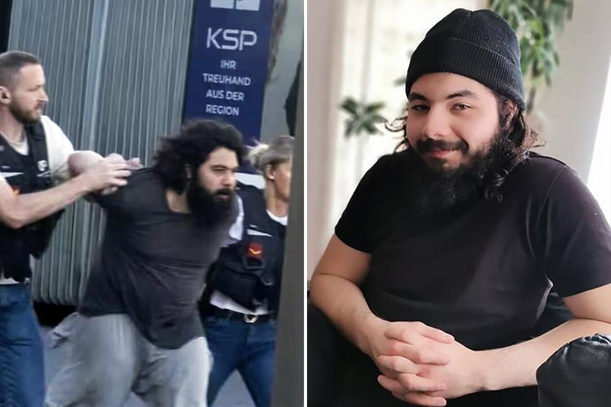 Swiss ‘terrorist’ who shouted ‘Allahu Akbar’ before train station stabbing ‘needs help,’ dad says