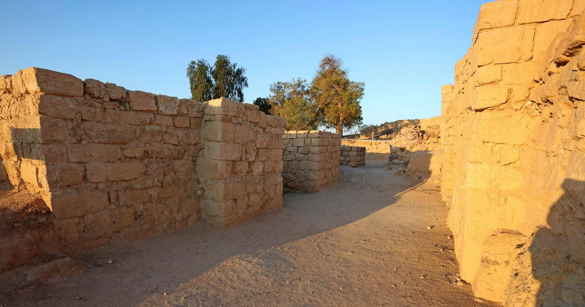 Who Built the Biblical-era Fortresses in the Deserts of Israel and Jordan?