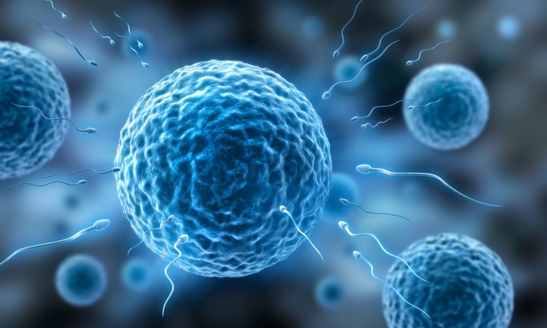 Twins' Nagging Doubts on Paternity Lead to Shocking Find