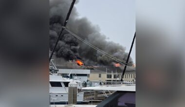 Crews battle fire at building on USF St. Pete campus
