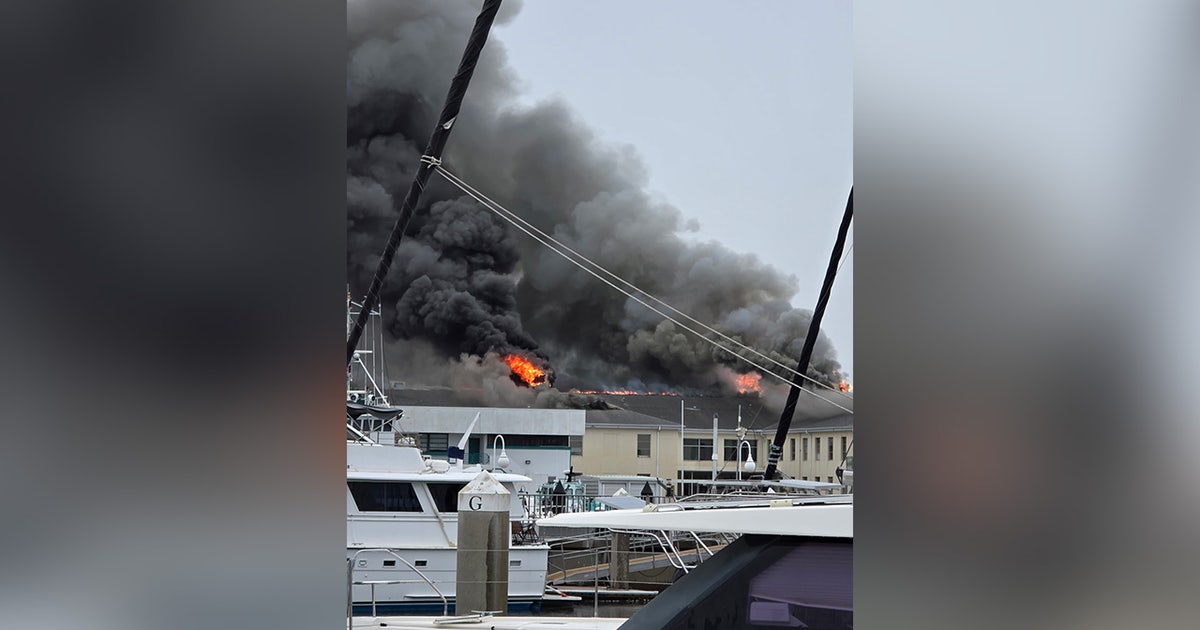 Crews battle fire at building on USF St. Pete campus