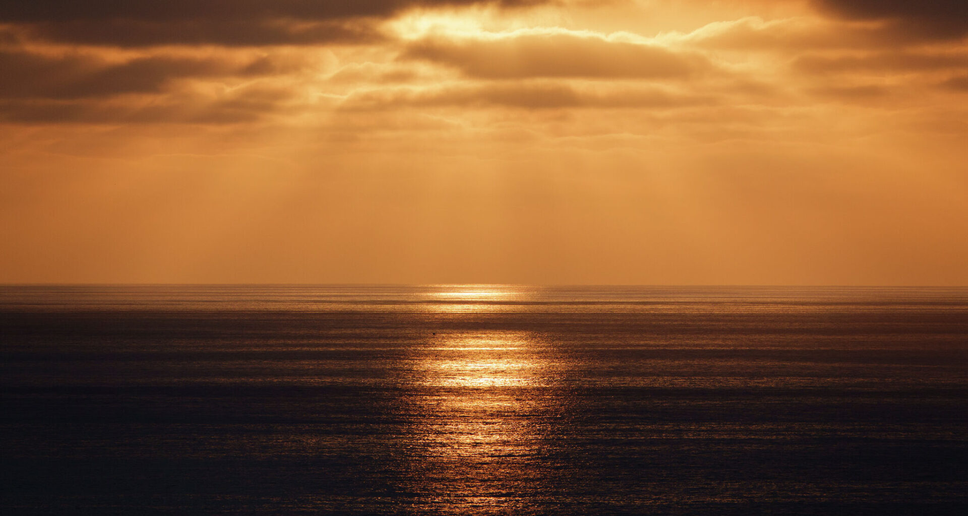 Record El Niño forecast model is literally off the charts