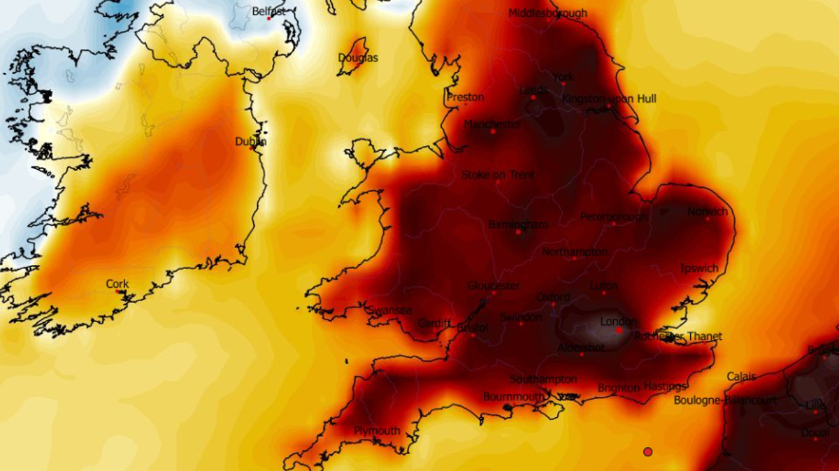 Daily Mirror