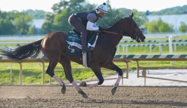 Meet the Preakness Stakes horses running in the 2026 race