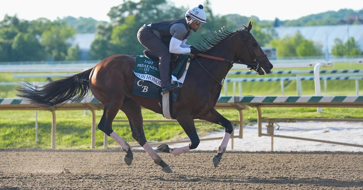 Meet the Preakness Stakes horses running in the 2026 race