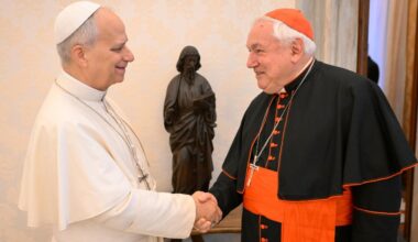 Cardinal Aveline: 'Pope Leo will offer us roadmap to continue our mission'