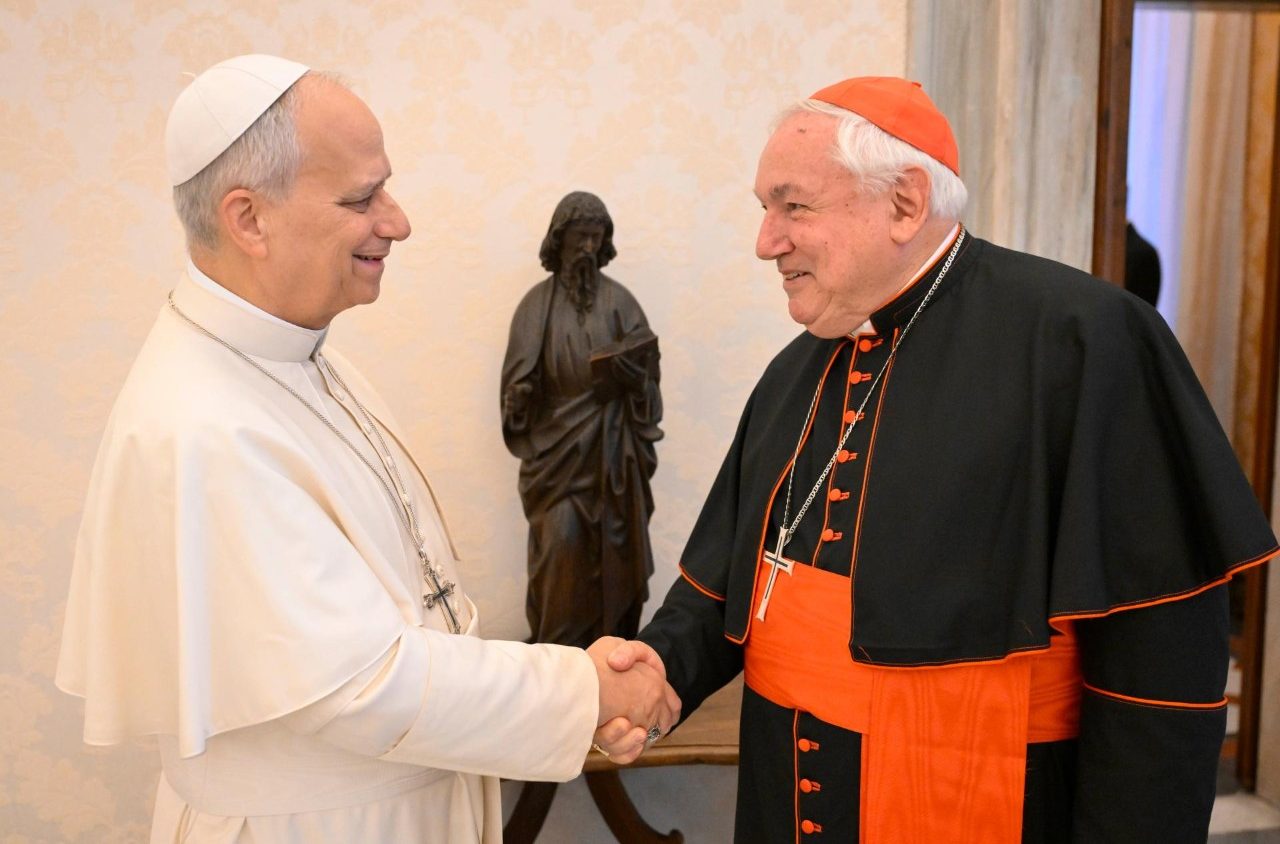 Cardinal Aveline: 'Pope Leo will offer us roadmap to continue our mission'