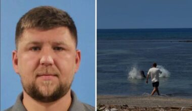 Tourist Threw Rock at Hawaiian Monk Seal to Protect Turtles: Attorney 