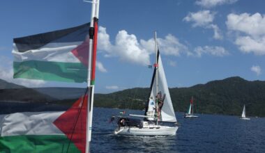 Irish president’s sister among Gaza flotilla activists detained by Israel