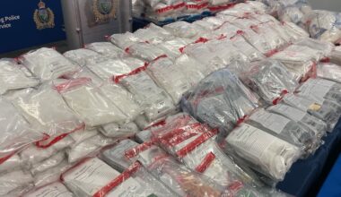 Members of Hells Angels and Mexican cartels among 33 arrested in Manitoba’s largest drug bust - CTV News