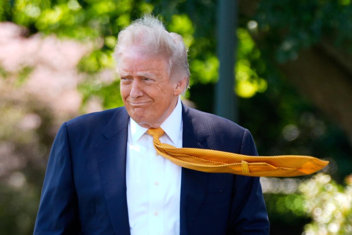President Donald Trump